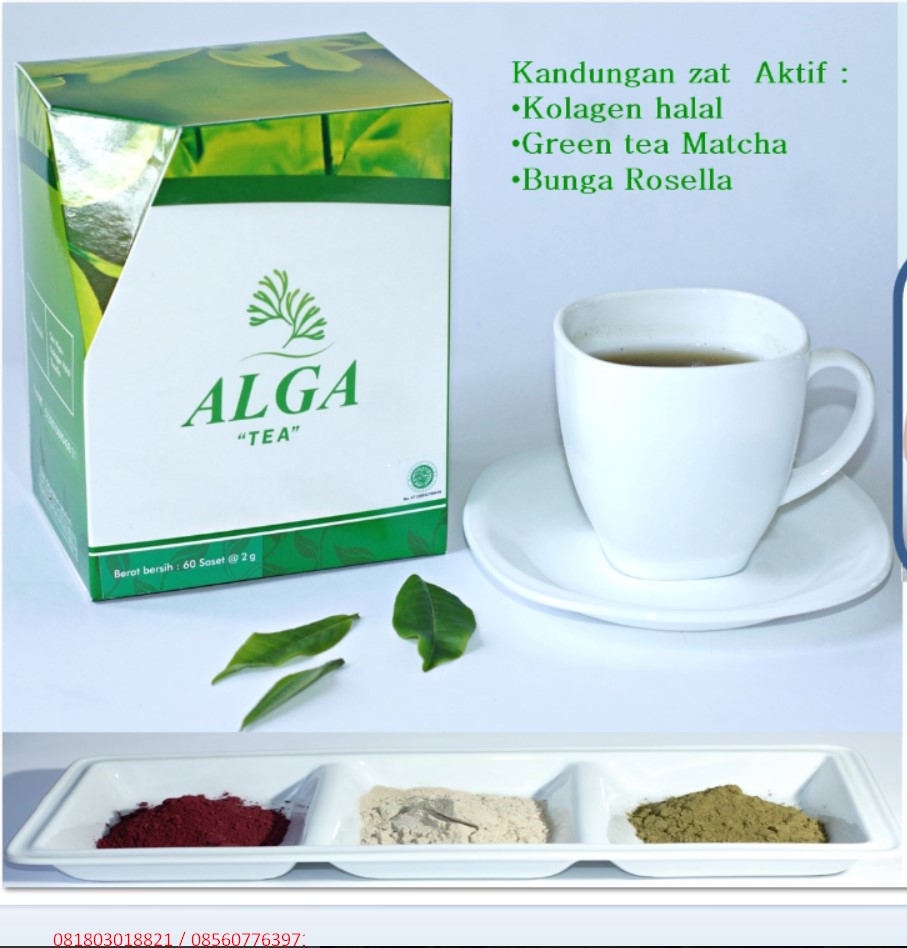 alga tea kolagen Bandar Lampung