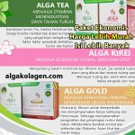 Alga Gold Alga Tea Alga Kirei Harga Termurah Paket AKAT AGAD