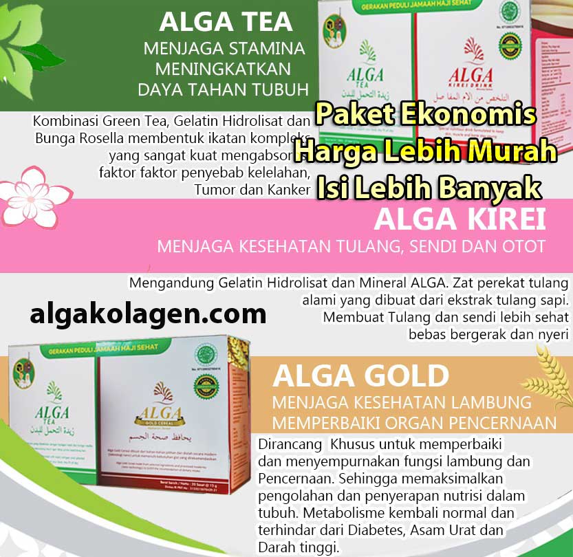 paket agat akat alga gold alga tea harga termurah