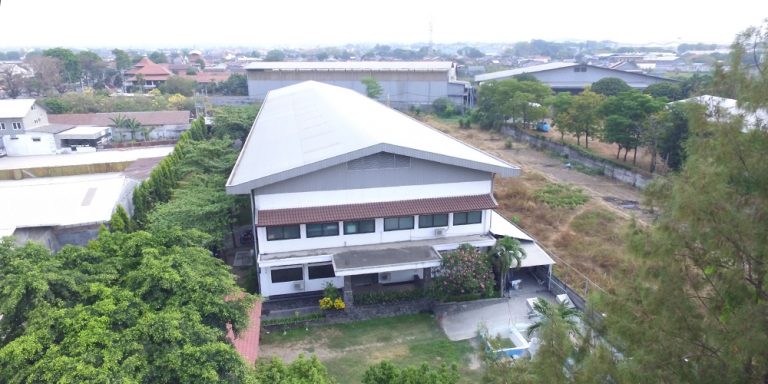 p1.jpg