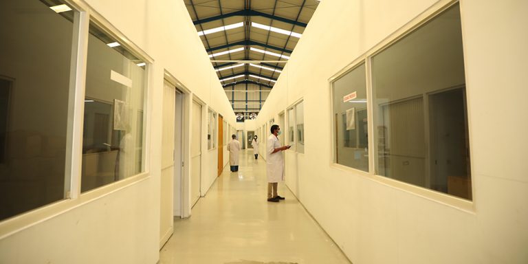 p10.jpg