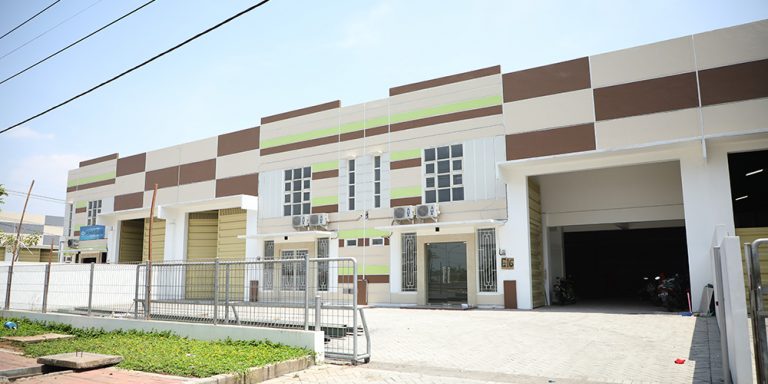p6.jpg