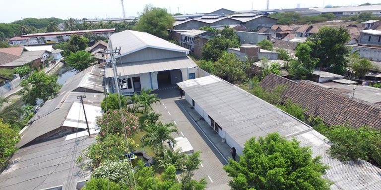 p7.jpg