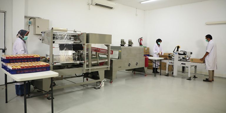 p8.jpg