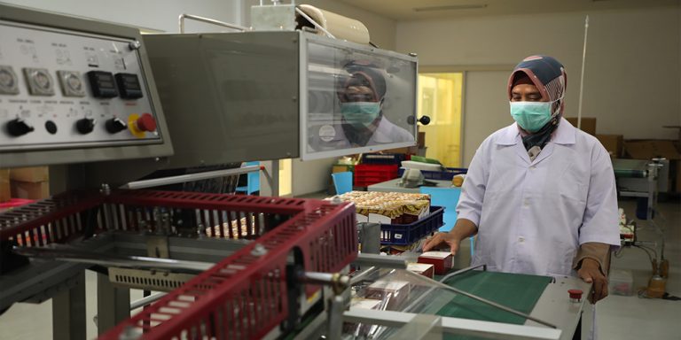 p9.jpg